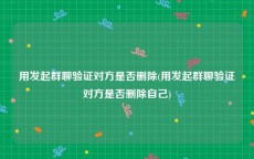 用发起群聊验证对方是否删除(用发起群聊验证对方是否删除自己)