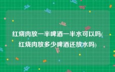 红烧肉放一半啤酒一半水可以吗(红烧肉放多少啤酒还放水吗)