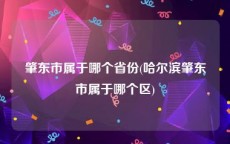 肇东市属于哪个省份(哈尔滨肇东市属于哪个区)