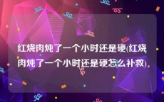 红烧肉炖了一个小时还是硬(红烧肉炖了一个小时还是硬怎么补救)