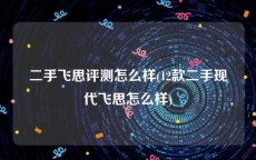 二手飞思评测怎么样(12款二手现代飞思怎么样)