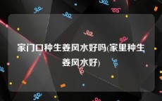 家门口种生姜风水好吗(家里种生姜风水好)