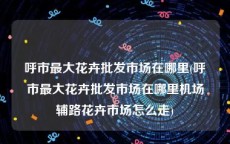呼市最大花卉批发市场在哪里(呼市最大花卉批发市场在哪里机场辅路花卉市场怎么走)
