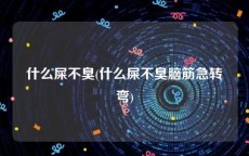 什么屎不臭(什么屎不臭脑筋急转弯)