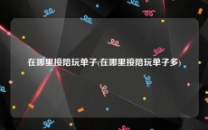 在哪里接陪玩单子(在哪里接陪玩单子多)