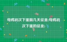 母鸡初次下蛋前几天征兆(母鸡初次下蛋的征兆)