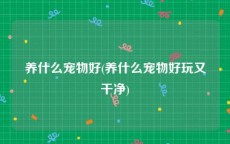 养什么宠物好(养什么宠物好玩又干净)