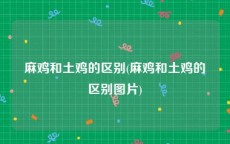 麻鸡和土鸡的区别(麻鸡和土鸡的区别图片)