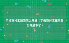 手机支付宝花呗怎么开通〈手机支付宝花呗怎么开通不了〉