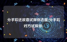 分手后还故意试探你态度(分手后对方试探你)