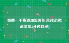 微商一手货源加盟哪能进到货(微商拿货3分钟教程)
