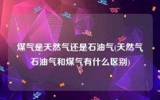 煤气是天然气还是石油气(天然气石油气和煤气有什么区别)