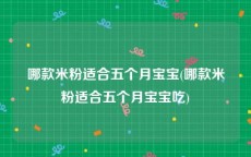 哪款米粉适合五个月宝宝(哪款米粉适合五个月宝宝吃)