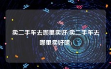 卖二手车去哪里卖好(卖二手车去哪里卖好呢)