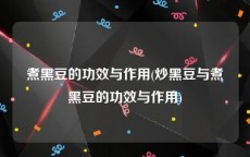 煮黑豆的功效与作用(炒黑豆与煮黑豆的功效与作用)