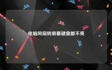 电脑风扇转屏幕键盘都不亮