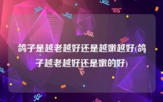 鸽子是越老越好还是越嫩越好(鸽子越老越好还是嫩的好)