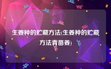 生姜种的贮藏方法(生姜种的贮藏方法青苗姜)