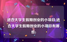 适合大学生假期创业的小项目(适合大学生假期创业的小项目有哪些)
