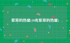 紫菜的热量(10克紫菜的热量)