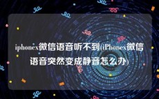 iphonex微信语音听不到(iPhonex微信语音突然变成静音怎么办)