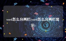 word怎么分两栏(word怎么分两栏显示)
