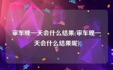 审车晚一天会什么结果(审车晚一天会什么结果呢)