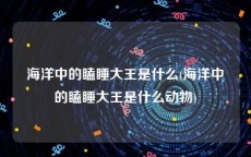 海洋中的瞌睡大王是什么(海洋中的瞌睡大王是什么动物)