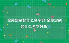 全屋定制起什么名字好(全屋定制起什么名字好听)