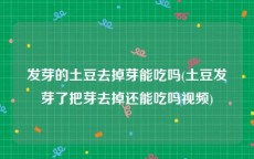 发芽的土豆去掉芽能吃吗(土豆发芽了把芽去掉还能吃吗视频)