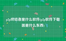 p2p终结者是什么软件(p2p软件下载器是什么东西)