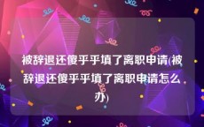 被辞退还傻乎乎填了离职申请(被辞退还傻乎乎填了离职申请怎么办)