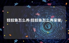 娃娃鱼怎么养(娃娃鱼怎么养家里)
