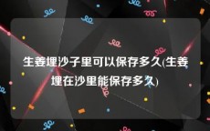 生姜埋沙子里可以保存多久(生姜埋在沙里能保存多久)