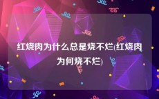 红烧肉为什么总是烧不烂(红烧肉为何烧不烂)