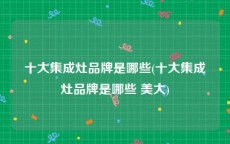 十大集成灶品牌是哪些(十大集成灶品牌是哪些 美大)