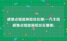 威驰点烟器保险丝在哪(一汽丰田威驰点烟器保险丝在哪里)