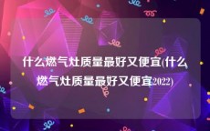 什么燃气灶质量最好又便宜(什么燃气灶质量最好又便宜2022)