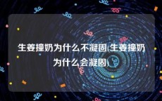 生姜撞奶为什么不凝固(生姜撞奶为什么会凝固)