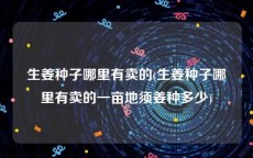 生姜种子哪里有卖的(生姜种子哪里有卖的一亩地须姜种多少)