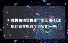 料理机和辅食机哪个更实用(料理机和辅食机哪个更实用一些)