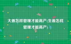 大姜怎样管理才能高产(生姜怎样管理才能高产)