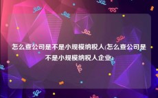 怎么查公司是不是小规模纳税人(怎么查公司是不是小规模纳税人企业)