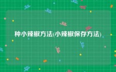 种小辣椒方法(小辣椒保存方法)