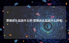 营销送礼品送什么好(营销送礼品送什么好呢)