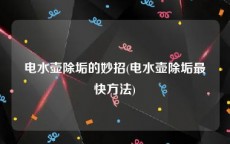 电水壶除垢的妙招(电水壶除垢最快方法)