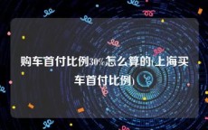 购车首付比例30%怎么算的(上海买车首付比例)