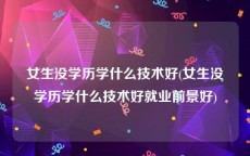女生没学历学什么技术好(女生没学历学什么技术好就业前景好)