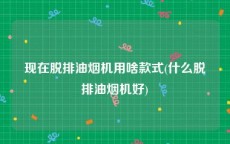 现在脱排油烟机用啥款式(什么脱排油烟机好)