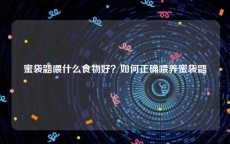 蜜袋鼯喂什么食物好？如何正确喂养蜜袋鼯